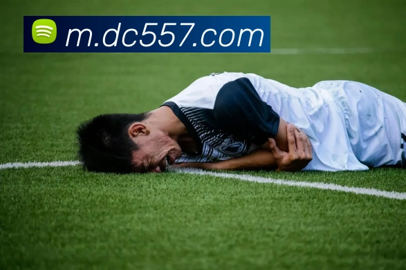 皇家赌场hjdc平台生态图