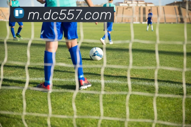 皇家赌场hjdc全站App